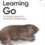 Learning Go
